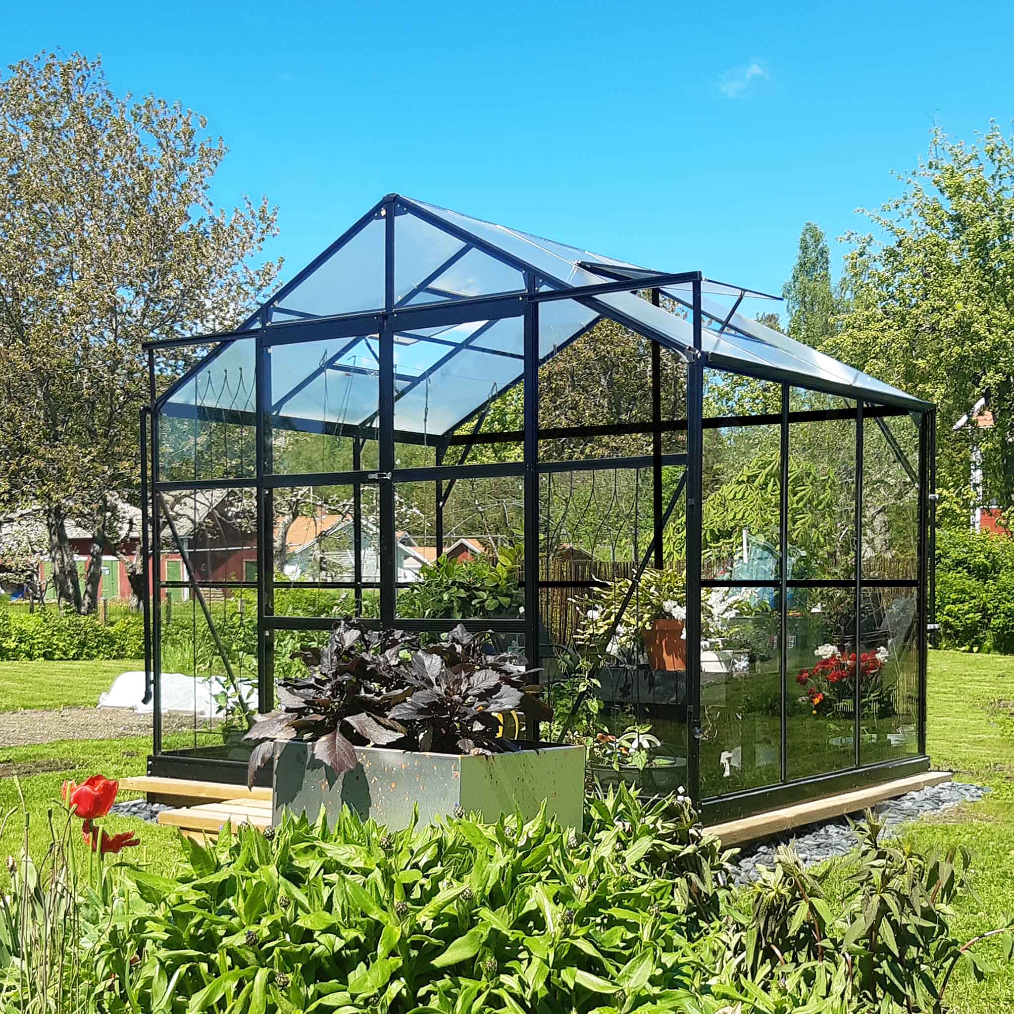 Drivhus i glass 4,9m� | 4mm sikkerhetsglass | 5 �rs stormgaranti