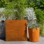 Plantekrukke | 3mm cortenstl