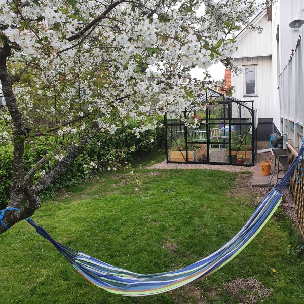 Drivhus i glass 11,1m² | 4mm sikkerhetsglass | 5 års stormgaranti Drivhus i glass 11,1m² | 4mm sikkerhetsglass | 5 års stormgaranti