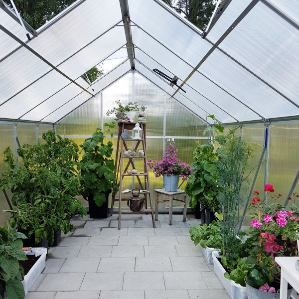 Drivhus 10,7m | Hy dyrkingshyde | 6mm kanal plast