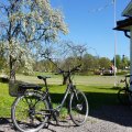 Kundebilde Elektrisk Sykkel Dame 28