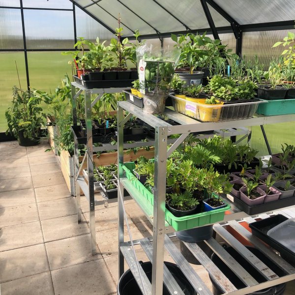 Drivhus 18m Premium | Ekstra hy dyrkingshyde | 6mm kanal plast