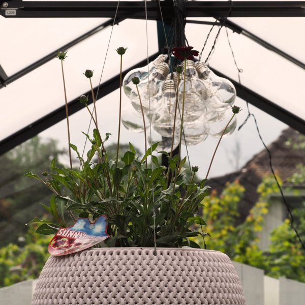 Drivhus 6,4 m² | 4 mm sikkerhetsglass | 5 års stormgaranti Drivhus 6,4 m² | 4 mm sikkerhetsglass | 5 års stormgaranti