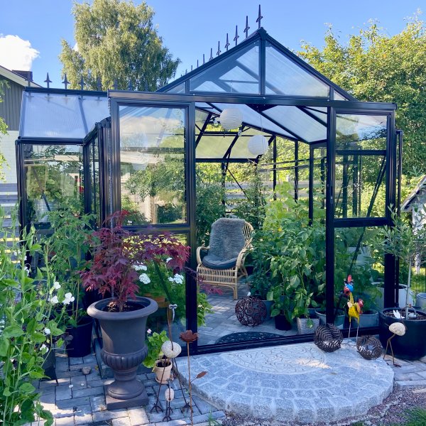 T-formet drivhus i glass 12,8m² | 4mm sikkerhetsglass | 5 års stormgaranti T-formet drivhus i glass 12,8m² | 4mm sikkerhetsglass | 5 års stormgaranti