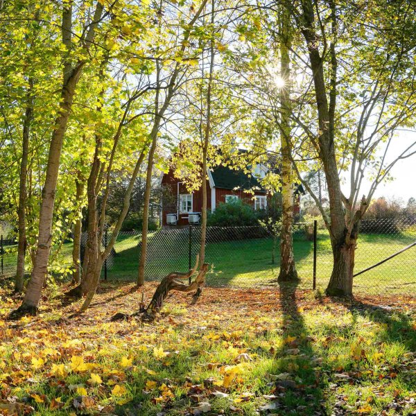 Villagjerde 100cm høyt | 25 meterspakke Villagjerde 100cm høyt | 25 meterspakke