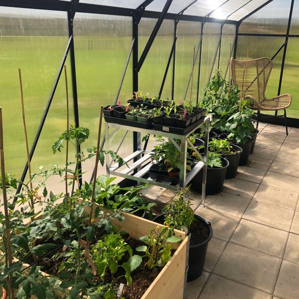 Drivhus 18m Premium | Ekstra hy dyrkingshyde | 6mm kanal plast