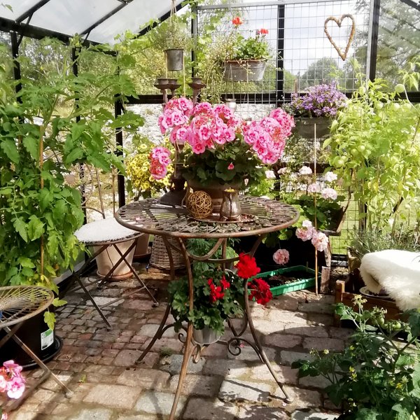 Drivhus i glass 11,1m² | 4mm sikkerhetsglass | 5 års stormgaranti Drivhus i glass 11,1m² | 4mm sikkerhetsglass | 5 års stormgaranti