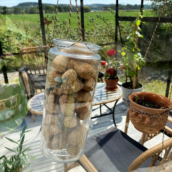 Drivhus i glass 19m� | 5 �rs stormgaranti | 4 mm sikkerhetsglass