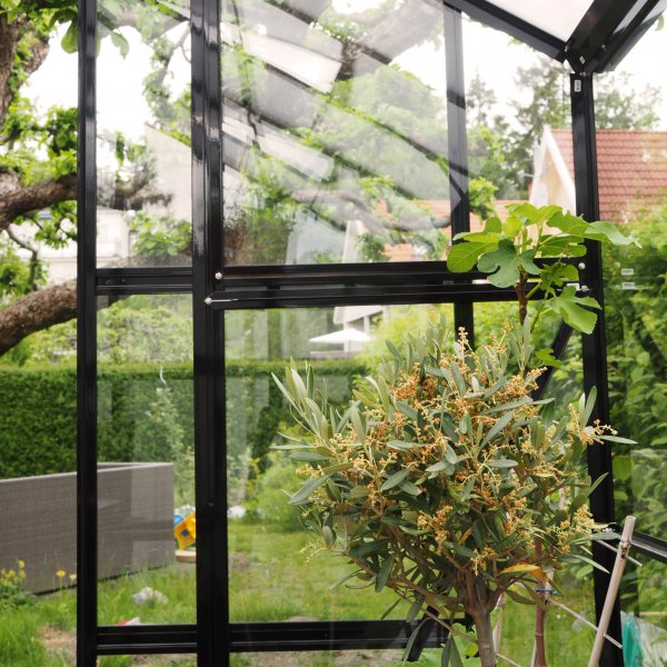 Drivhus 8,0m | 4mm sikkerhetsglass | 5 rs stormgaranti